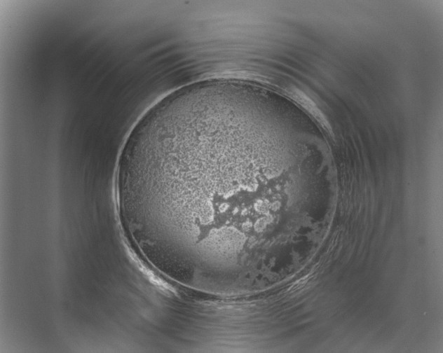 X0000072951084200608041301