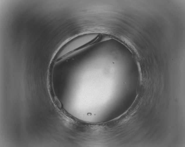 X0000072951085200608041301