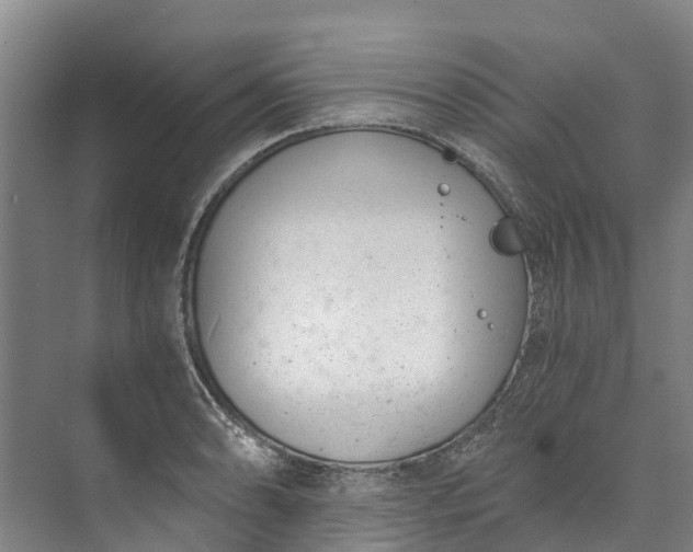 X0000072951086200608041301