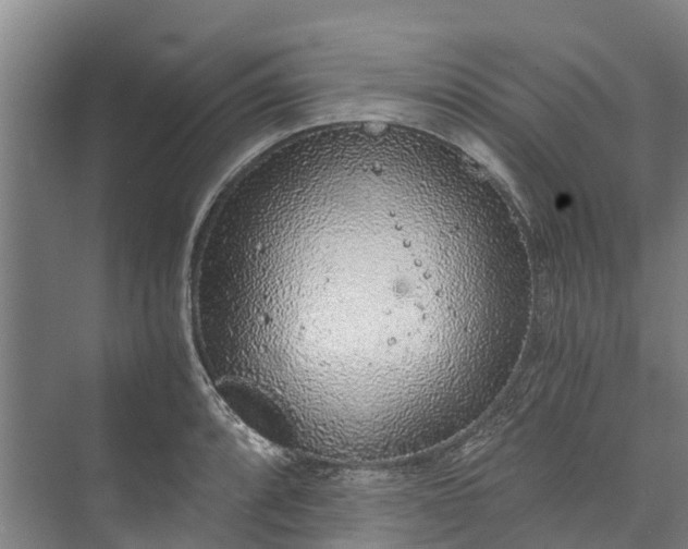 X0000072951088200608041301