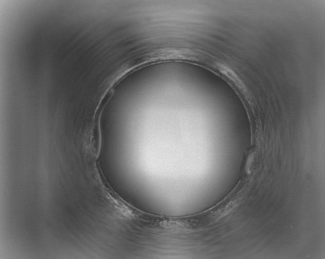 X0000072951089200608041301