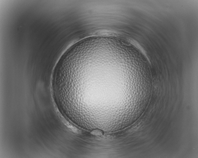 X0000072951091200608041301