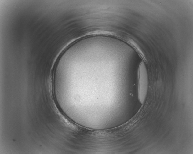 X0000072951092200608041301