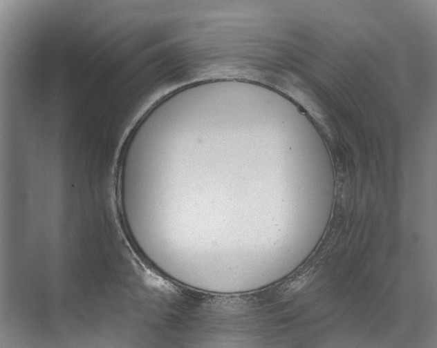 X0000072951094200608041301