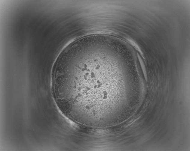 X0000072951095200608041301