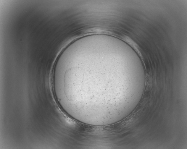 X0000072951098200608041301