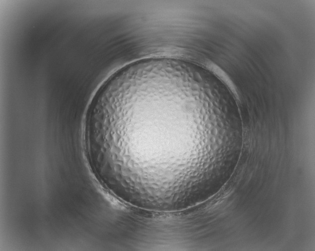 X0000072951099200608041301