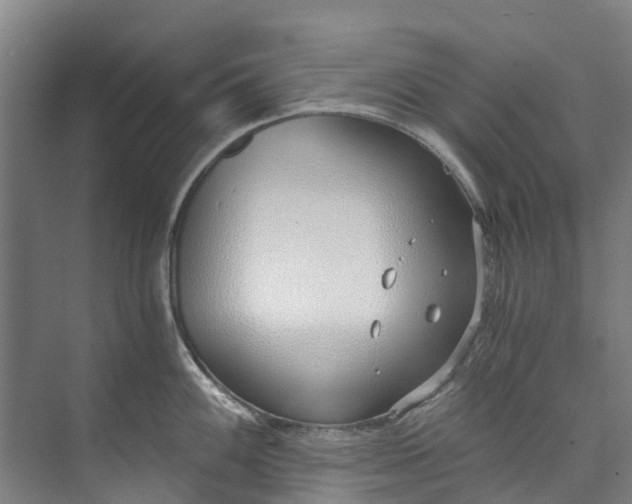 X0000072951100200608041301