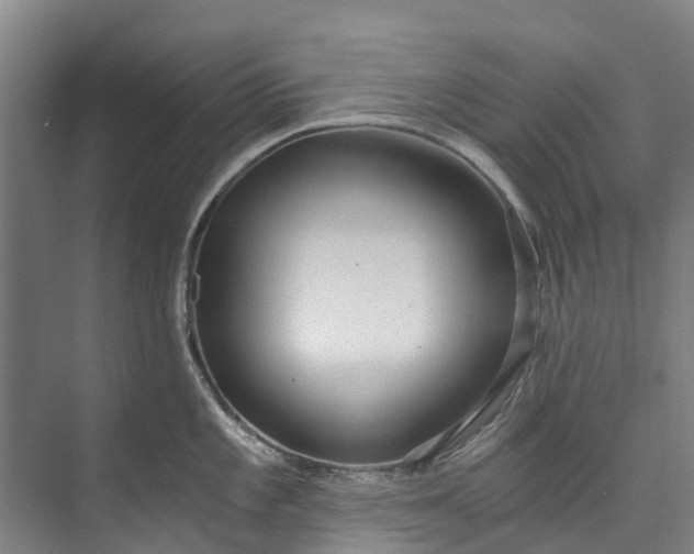 X0000072951101200608041301