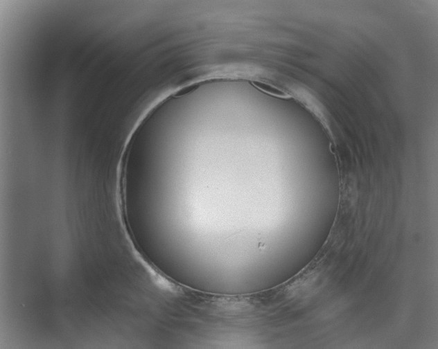 X0000072951103200608041301