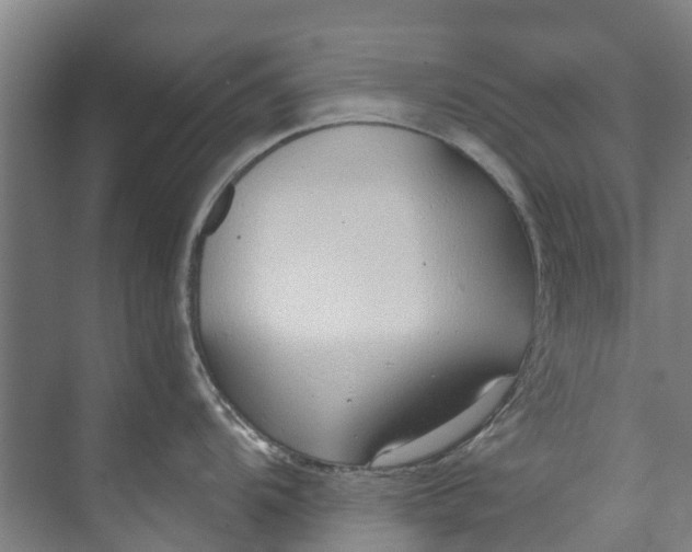 X0000072951104200608041301