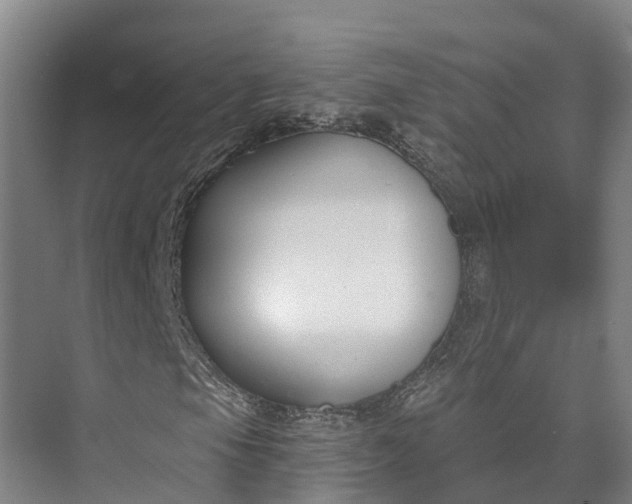 X0000072951105200608041300