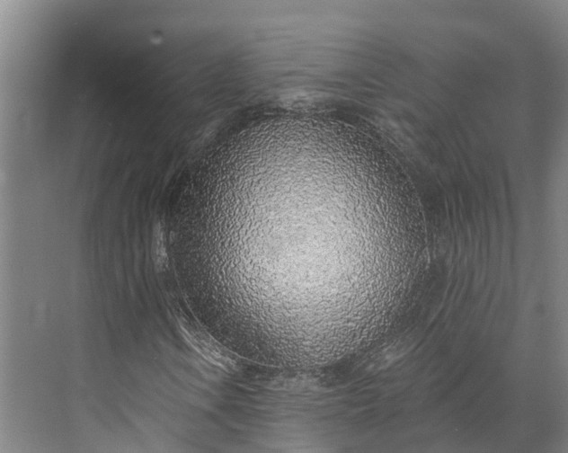 X0000072951106200608041300