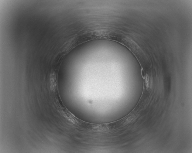 X0000072951107200608041300