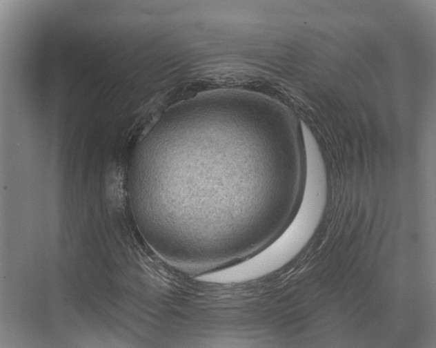 X0000072951108200608041300