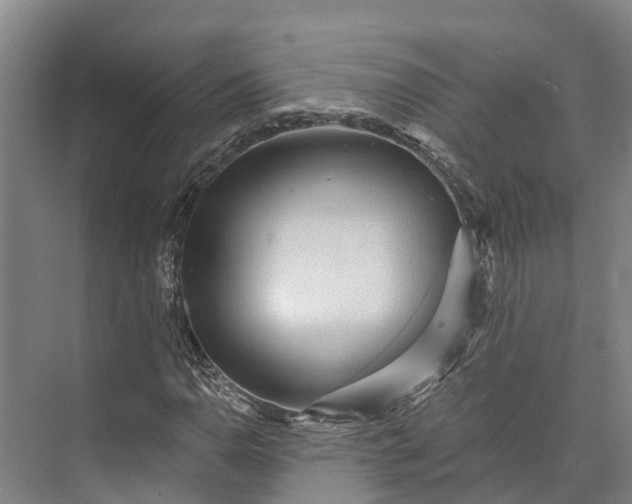 X0000072951110200608041300