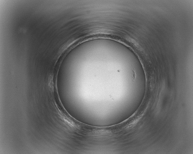 X0000072951113200608041300