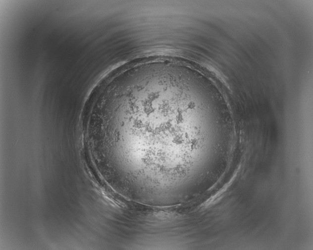 X0000072951117200608041300