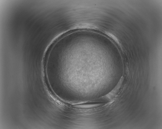 X0000072951120200608041300