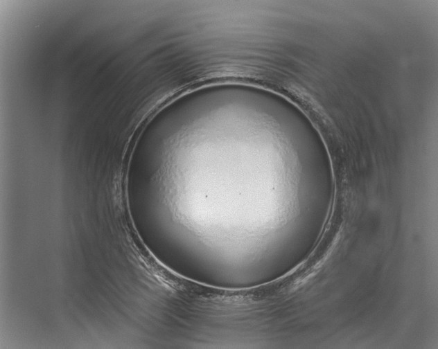 X0000072951121200608041300