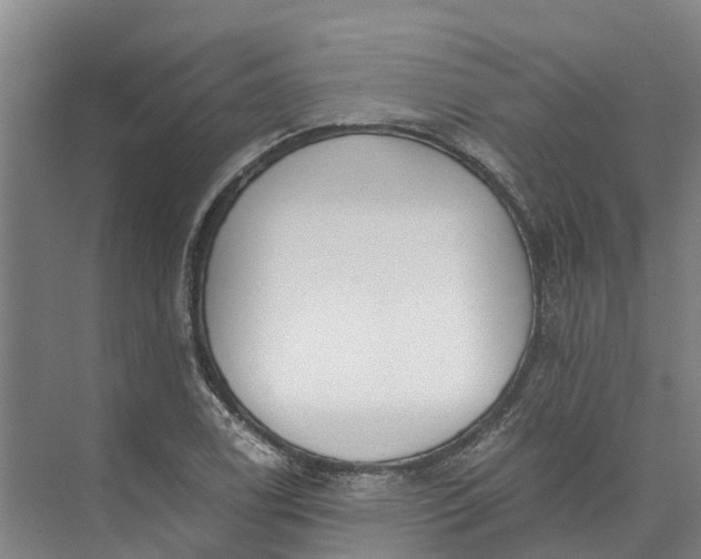 X0000072951122200608041300