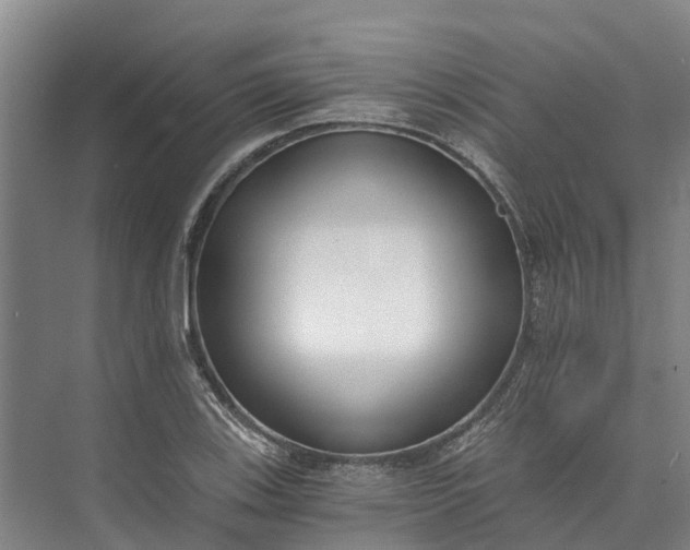 X0000072951123200608041300