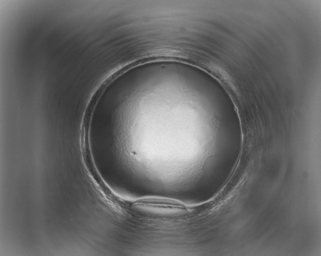 X0000072951125200608041301