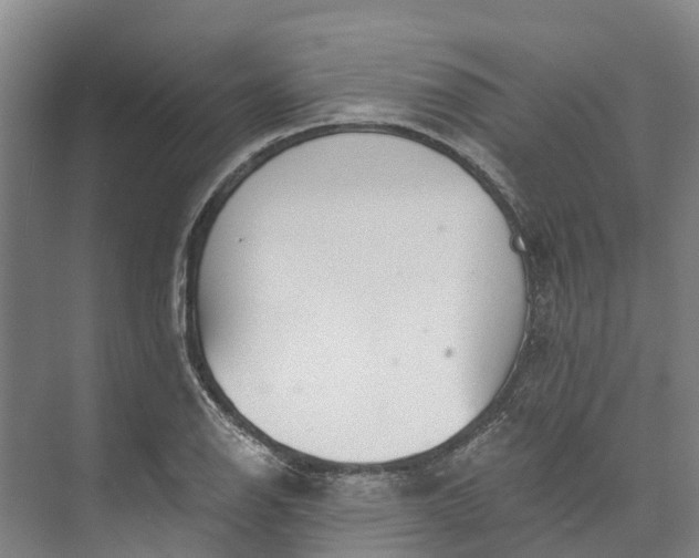 X0000072951126200608041301