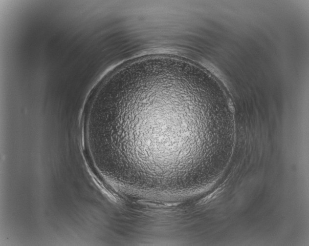 X0000072951127200608041301