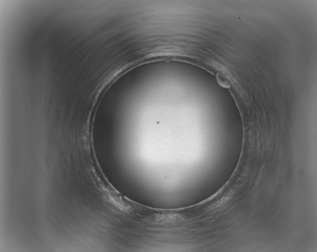 X0000072951129200608041301