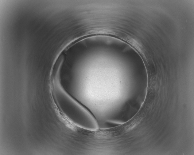 X0000072951132200608041301