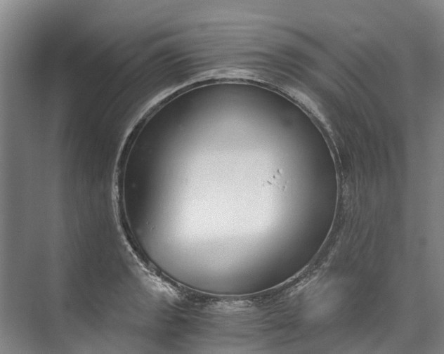 X0000072951133200608041301