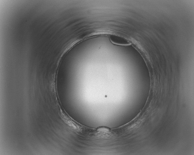 X0000072951137200608041301