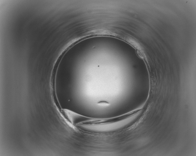 X0000072951141200608041301