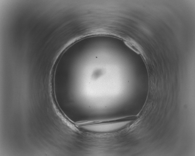 X0000072951142200608041301