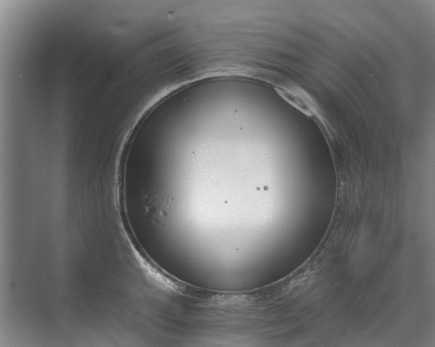 X0000072951143200608041301