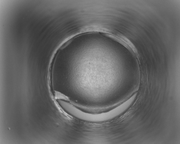 X0000072951144200608041301