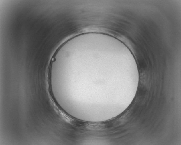 X0000072951150200608041301