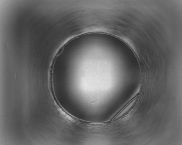 X0000072951151200608041301