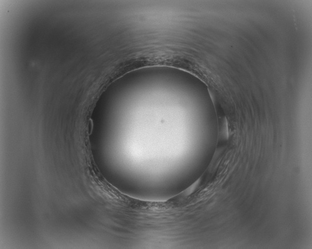 X0000072951153200608041300