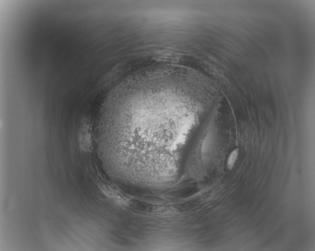 X0000072951154200608041300