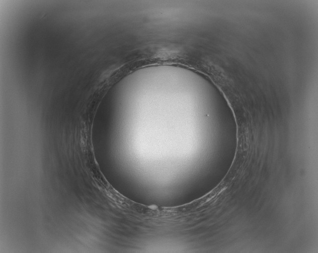 X0000072951158200608041300