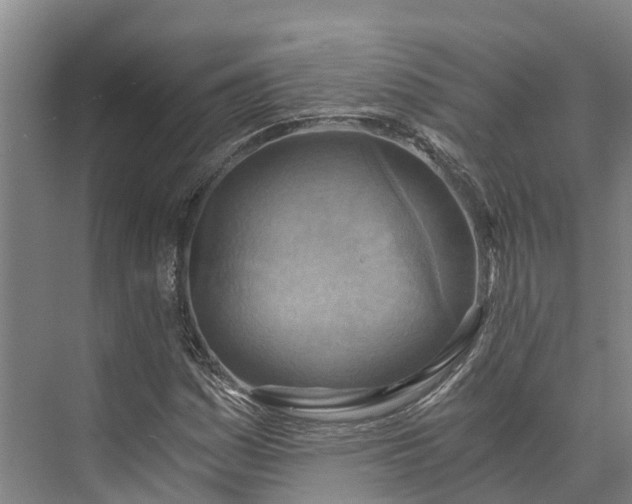 X0000072951161200608041300