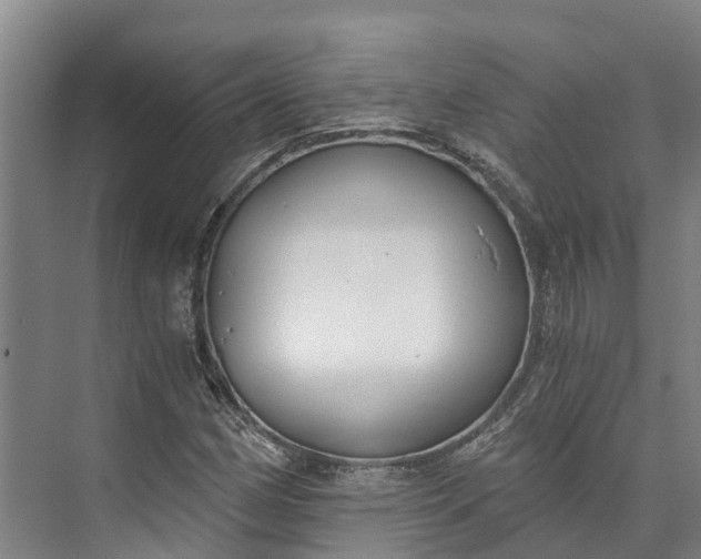 X0000072951162200608041300