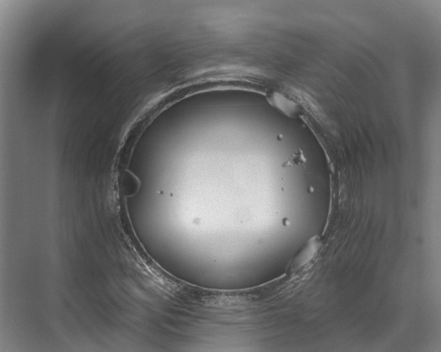 X0000072951164200608041300