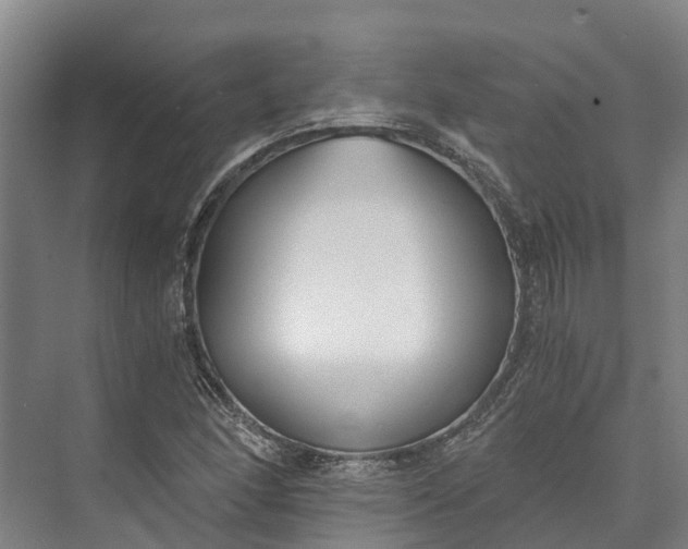 X0000072951166200608041300