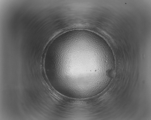 X0000072951170200608041300