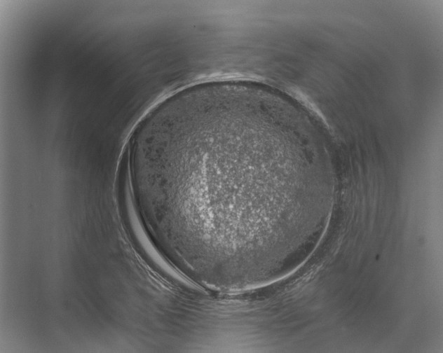 X0000072951173200608041300