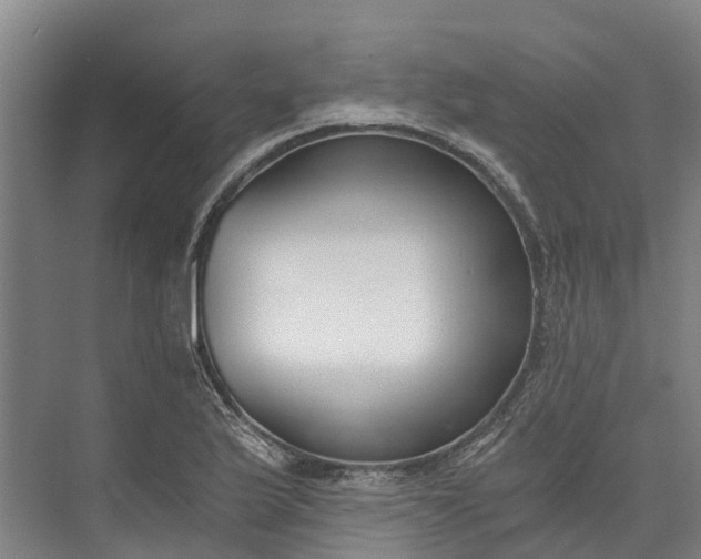 X0000072951175200608041300