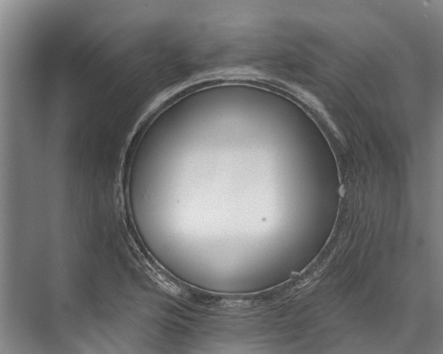 X0000072951176200608041300